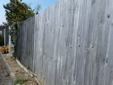 Backyard Fence Paint