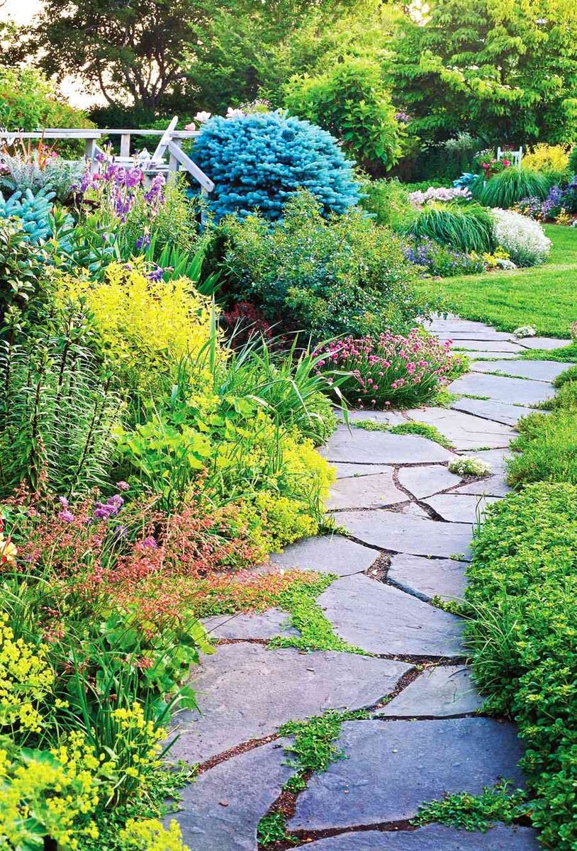 Looking for a Handyman – Lawn & Garden Help Needed
