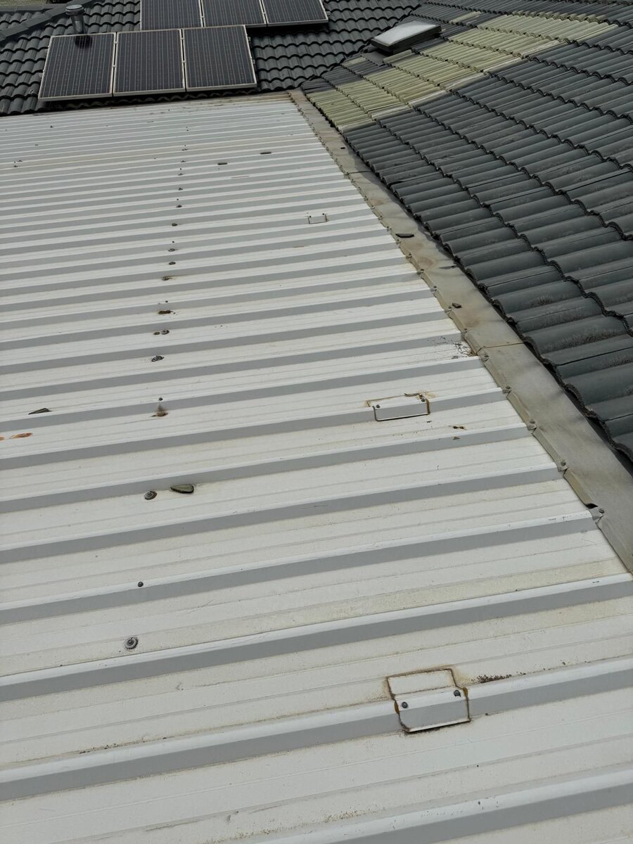 Handyman Job: Roof Sheet Repair