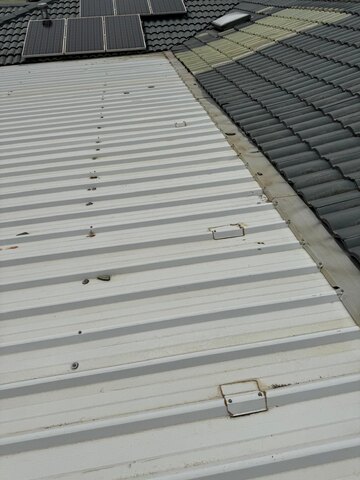 Handyman Job: Roof Sheet Repair
