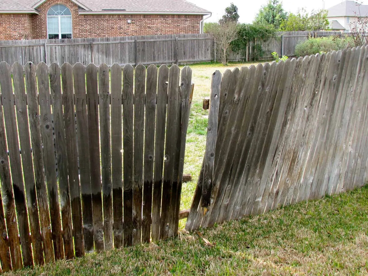 Need a handyman to fix up my fence!