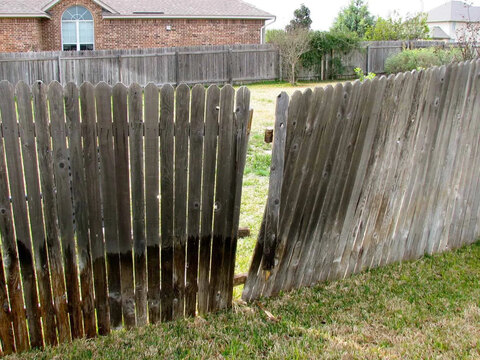 Need a handyman to fix up my fence!